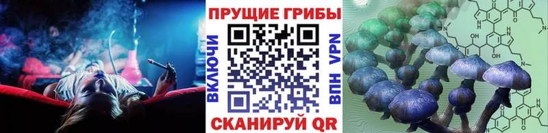 Псилоцибиновые грибы Cubensis  закладка  Алапаевск 